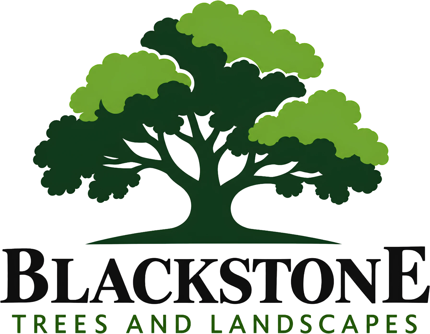 Blackstone Trees and Landscapes