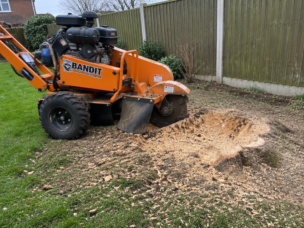 Stump Grinding & Removal